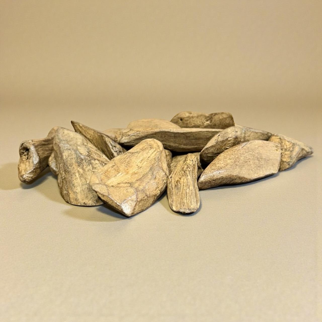 عود مروكي شيخ مجالس